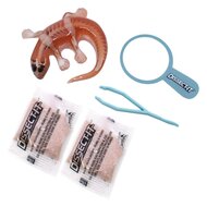 DISSECT-IT Ontleed een Salamander met Vergrootglas