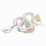 DISSECT-IT Ontleed een Ratelslang Mega Giftbox