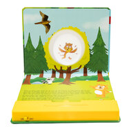 Mijn Projectorboek Mattis Avontuur