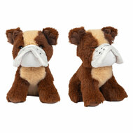 Pluchen Puppy - 15cm