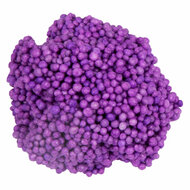 Wheel of Putty 12 Kleuren - 17dlg.