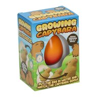 Groeiende Capibara in Ei