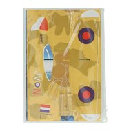 3D Foam Vliegtuig 9cm - 2st.