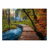 Ravensburger Legpuzzel Autumnal wood trail - 1000st.