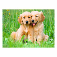 Ravensburger Legpuzzel The Golden Retriever brothers - 500st.