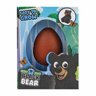 Groeiende Zwarte Beer in Ei