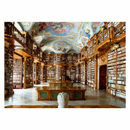 Ravensburger Legpuzzel New York Publieke Bibliotheek - 1000st.