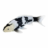Mojo Koi Collection - Shiro Utsuri Koi Zwart Wit 381120