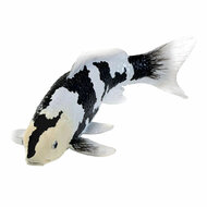 Mojo Koi Collection - Shiro Utsuri Koi Zwart Wit 381120