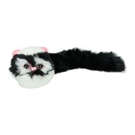 Pluizige Kitten met Lange Staart