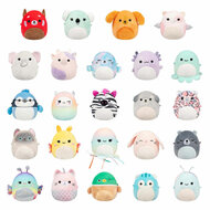 Squishmallows Knuffel Pluche Micromallows - Verrassing Knuffel