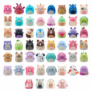 Squishmallows Squish-a-longs Verrassing Speelfiguur