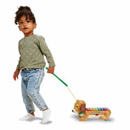 VTech Timmie Teckel Xylofoon
