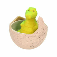 Groei-ei Dinosaurus - Foto 7