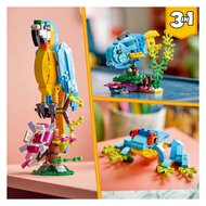 LEGO Creator 31136 Exotische Papegaai - Foto 7