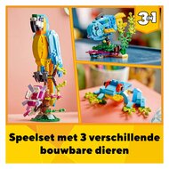 LEGO Creator 31136 Exotische Papegaai - Foto 12