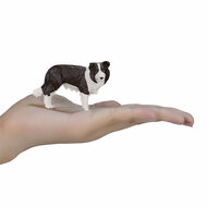Mojo Farmland Border Collie - 387203 - Foto 6