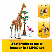 LEGO Creator 31150 Safaridieren - Foto 5