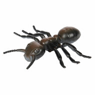 Animal World Grote Griezel Insect - Foto 5