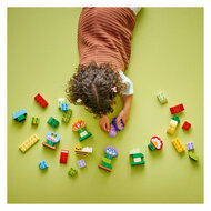 LEGO DUPLO Town 10444 Creatieve Bloementuin - Foto 10