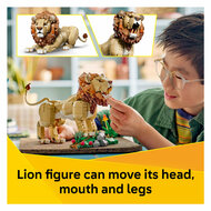 LEGO Creator 31386 Wilde Dieren: Majestueuze Leeuw - Foto 11