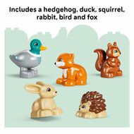 LEGO DUPLO 10480 Ontdekkingsbos met Wilde Dieren - Foto 7