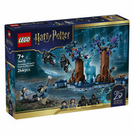 LEGO Harry Potter 76475 Verboden Bos: Expecto Patronum - Foto 6