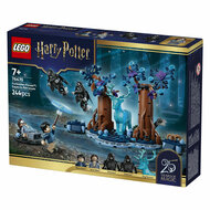 LEGO Harry Potter 76475 Verboden Bos: Expecto Patronum - Foto 7