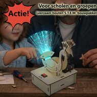 Houten bouwpakket lichtvezel pauw