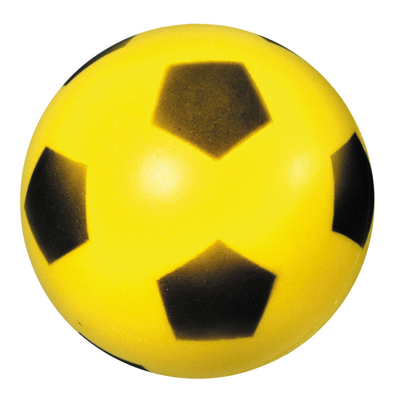 Ballen kopen? Kies uit ons uitgebreide aanbod van sport en speelballen