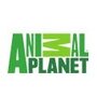 Animal-Planet