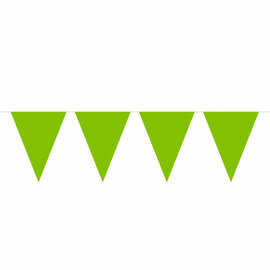 Limegroene Mini Vlaggenlijn, 3mtr.