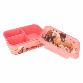 Miss Melody Broodtrommel Flowers