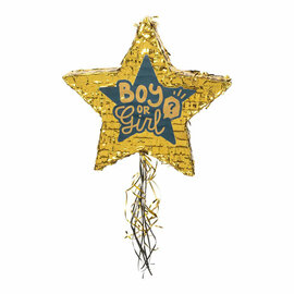 Trekpinata Boy or Girl