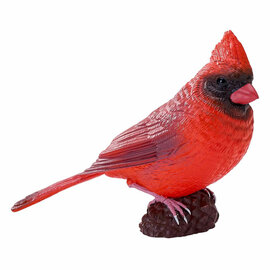 Mojo Farmland Rode Kardinaal - 381117