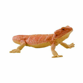 Mojo Wildlife Baardagaam - 381096