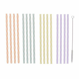 Herbruikbare Rietjes met Borstel, 25dlg.