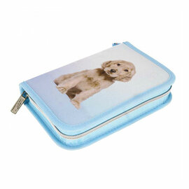Etui met Accessoires Hond, 25dlg.
