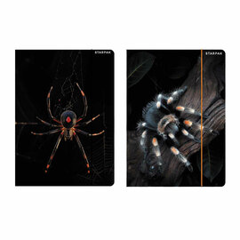 Map met Elastiek A4 Spin