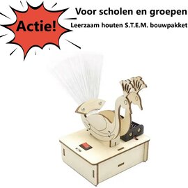 Houten bouwpakket lichtvezel pauw