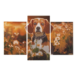 Diamond Painting Drieluik set - Hond