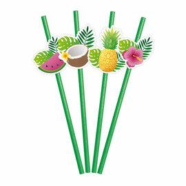 Papieren Rietjes Fruit Aloha - 6st.