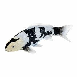 Mojo Koi Collection - Shiro Utsuri Koi Zwart Wit 381120
