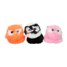 Pluizige Kitten met Lange Staart