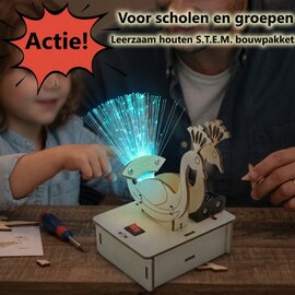 Houten bouwpakket lichtvezel pauw